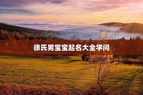 徐氏男宝宝起名大全学问