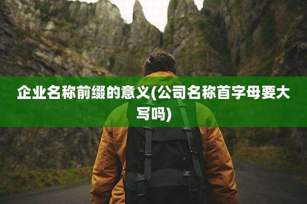 企业名称前缀的意义(公司名称首字母要大写吗)