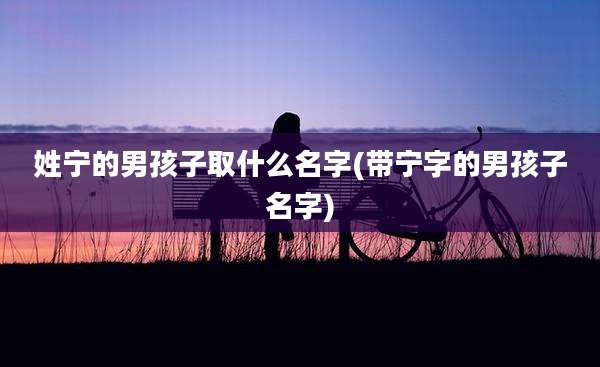 姓宁的男孩子取什么名字(带宁字的男孩子名字)