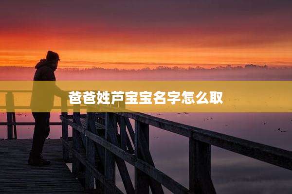 爸爸姓芦宝宝名字怎么取