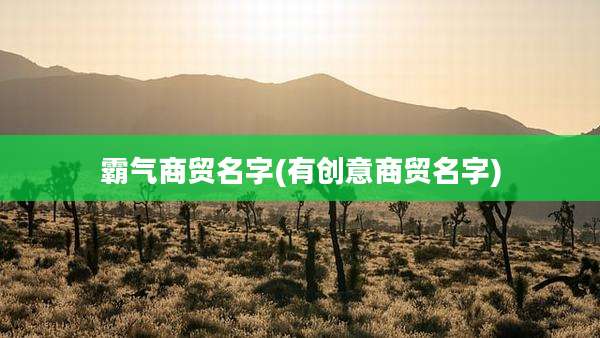 霸气商贸名字(有创意商贸名字)
