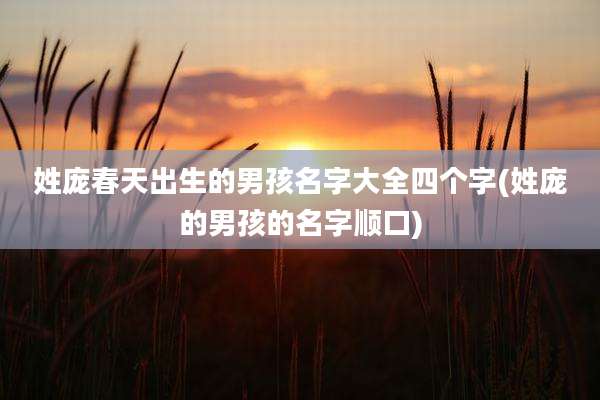 姓庞春天出生的男孩名字大全四个字(姓庞的男孩的名字顺口)