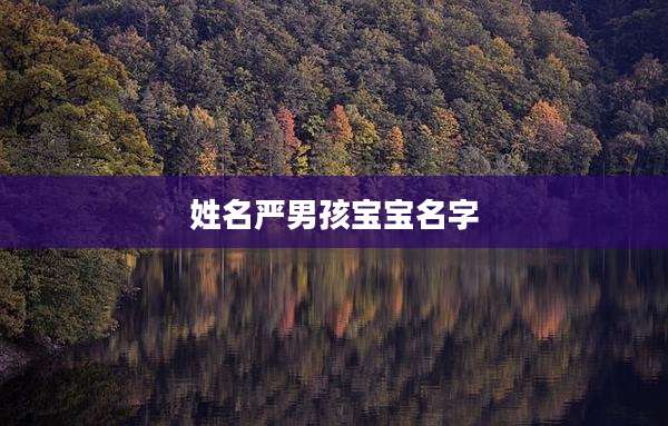 姓名严男孩宝宝名字