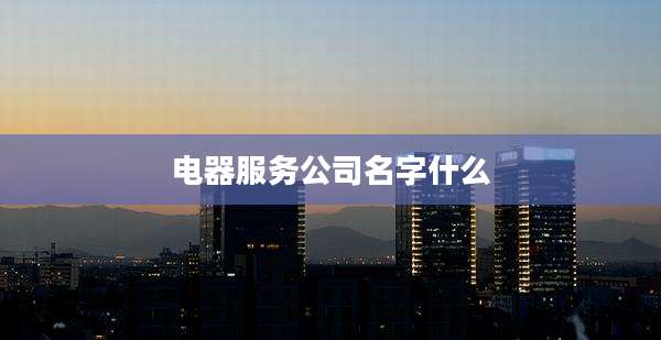 电器服务公司名字什么