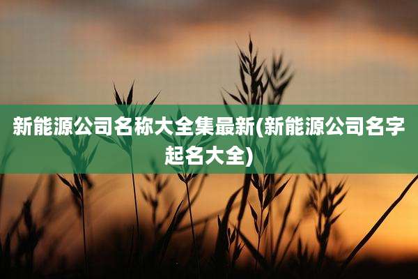 新能源公司名称大全集最新(新能源公司名字起名大全)