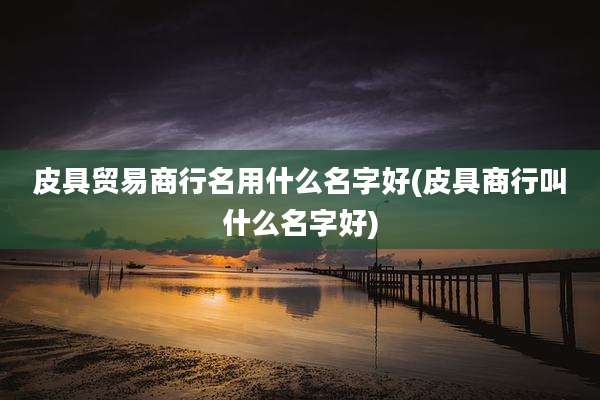 皮具贸易商行名用什么名字好(皮具商行叫什么名字好)