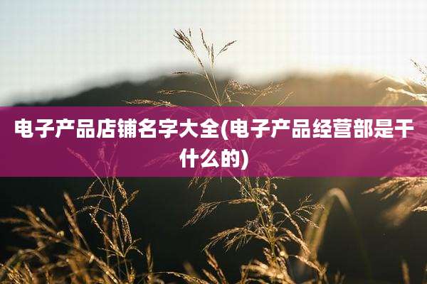 电子产品店铺名字大全(电子产品经营部是干什么的)