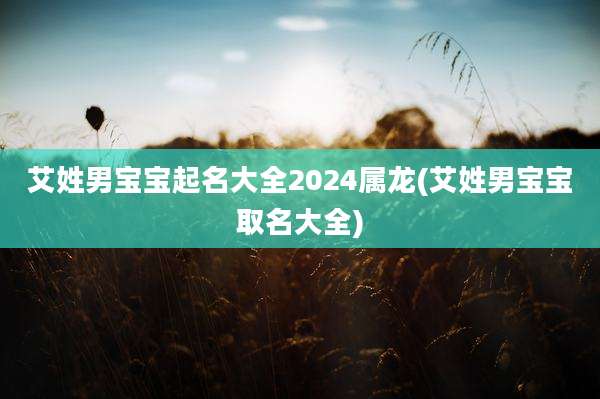 艾姓男宝宝起名大全2024属龙(艾姓男宝宝取名大全)