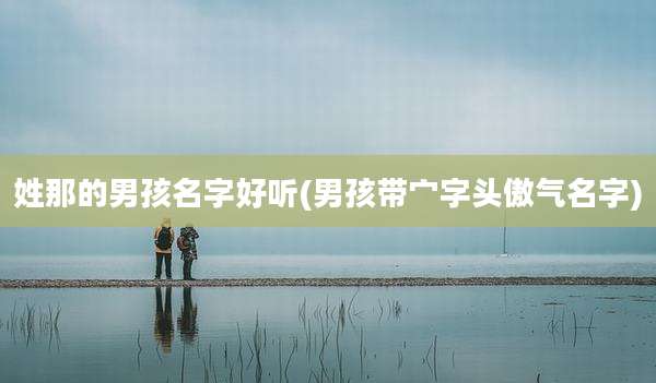 姓那的男孩名字好听(男孩带宀字头傲气名字)