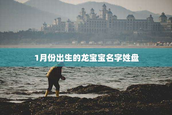 1月份出生的龙宝宝名字姓盘
