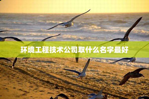 环境工程技术公司取什么名字最好