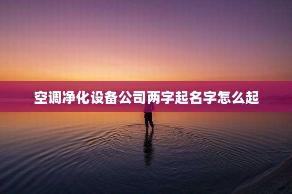 空调净化设备公司两字起名字怎么起