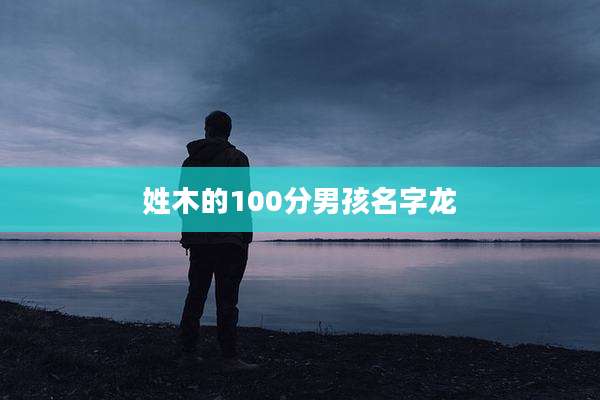 姓木的100分男孩名字龙