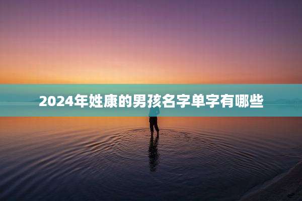 2024年姓康的男孩名字单字有哪些