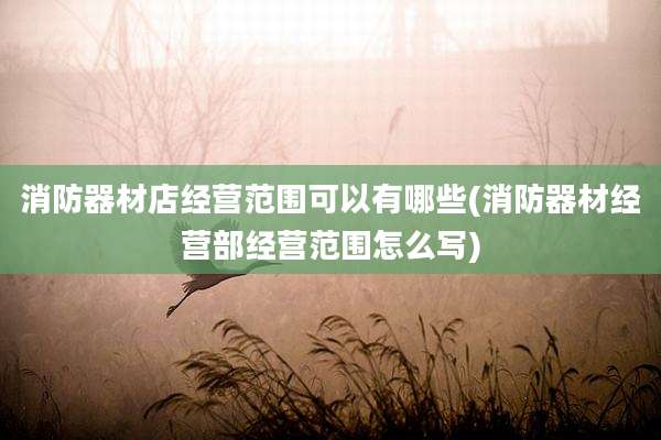 消防器材店经营范围可以有哪些(消防器材经营部经营范围怎么写)