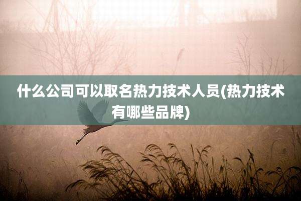 什么公司可以取名热力技术人员(热力技术有哪些品牌)
