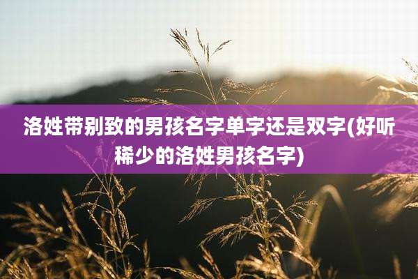 洛姓带别致的男孩名字单字还是双字(好听稀少的洛姓男孩名字)