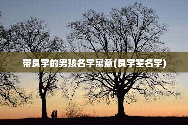 带良字的男孩名字寓意(良字辈名字)