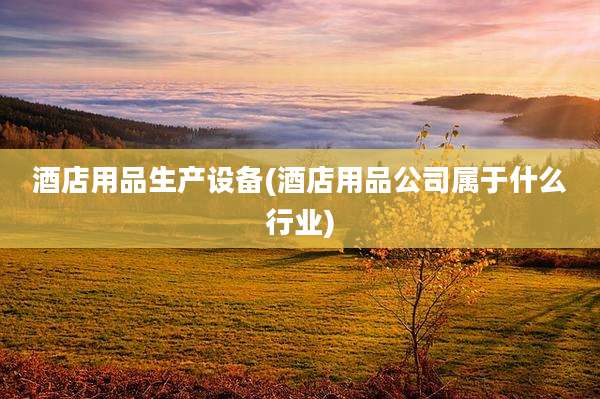 酒店用品生产设备(酒店用品公司属于什么行业)