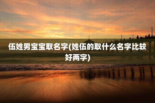 伍姓男宝宝取名字(姓伍的取什么名字比较好两字)