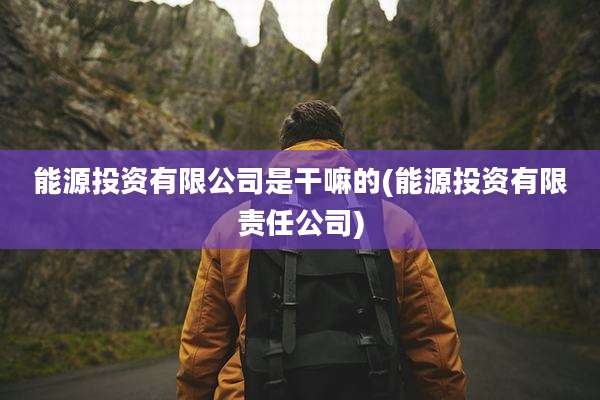 能源投资有限公司是干嘛的(能源投资有限责任公司)