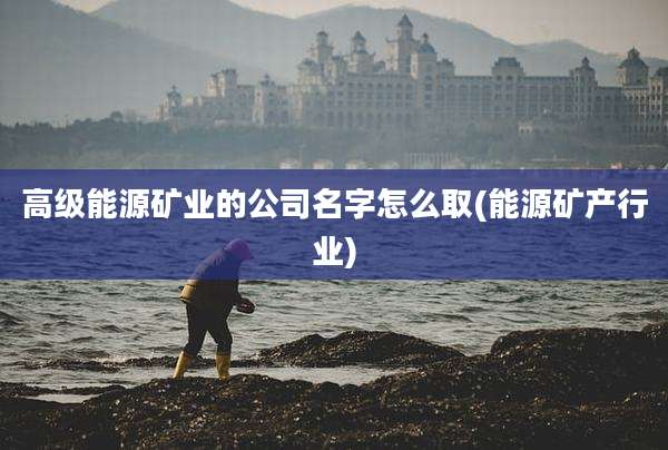 高级能源矿业的公司名字怎么取(能源矿产行业)