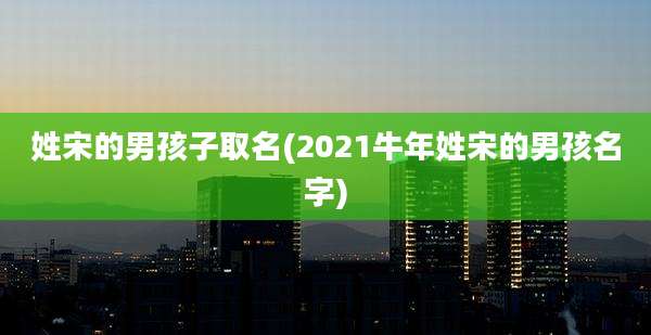 姓宋的男孩子取名(2021牛年姓宋的男孩名字)