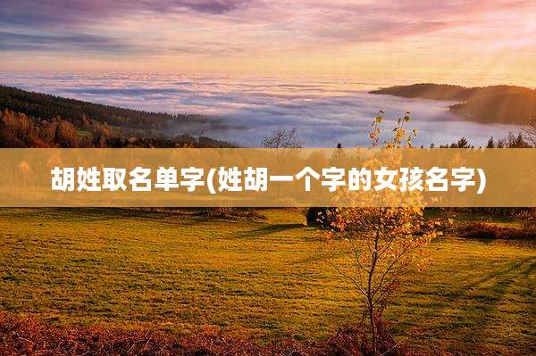 胡姓取名单字(姓胡一个字的女孩名字)