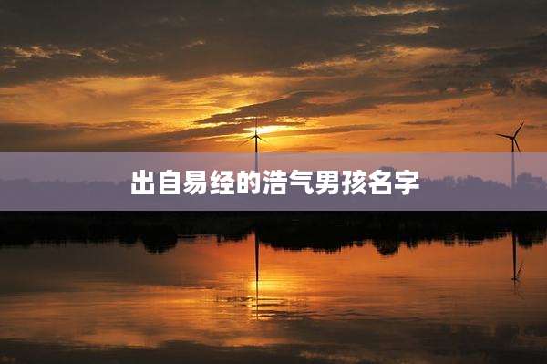 出自易经的浩气男孩名字