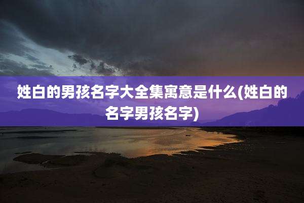 姓白的男孩名字大全集寓意是什么(姓白的名字男孩名字)