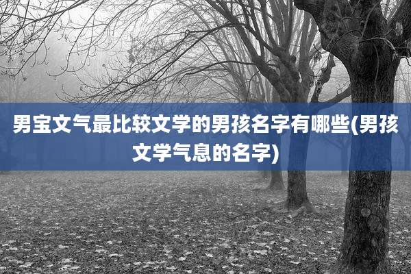 男宝文气最比较文学的男孩名字有哪些(男孩文学气息的名字)