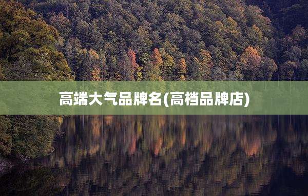 高端大气品牌名(高档品牌店)