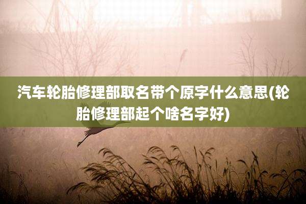 汽车轮胎修理部取名带个原字什么意思(轮胎修理部起个啥名字好)