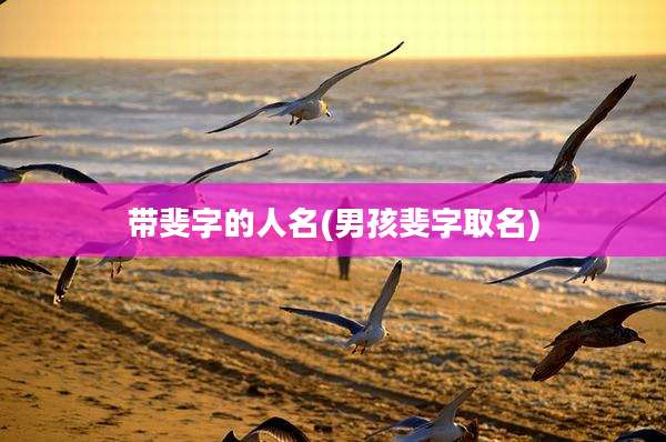 带斐字的人名(男孩斐字取名)