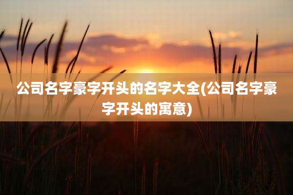 公司名字豪字开头的名字大全(公司名字豪字开头的寓意)
