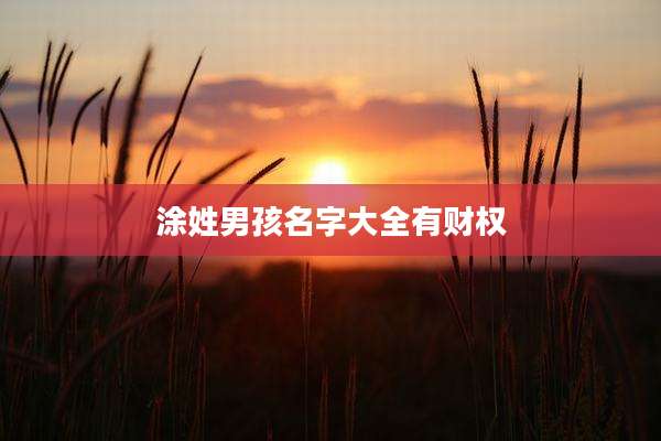 涂姓男孩名字大全有财权