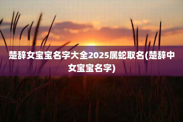 楚辞女宝宝名字大全2025属蛇取名(楚辞中女宝宝名字)