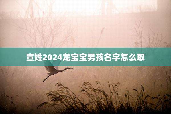 宣姓2024龙宝宝男孩名字怎么取