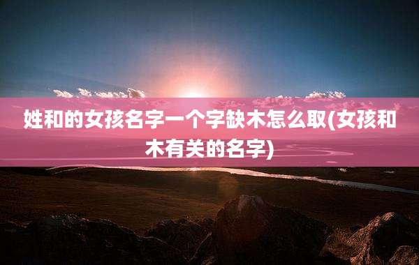 姓和的女孩名字一个字缺木怎么取(女孩和木有关的名字)