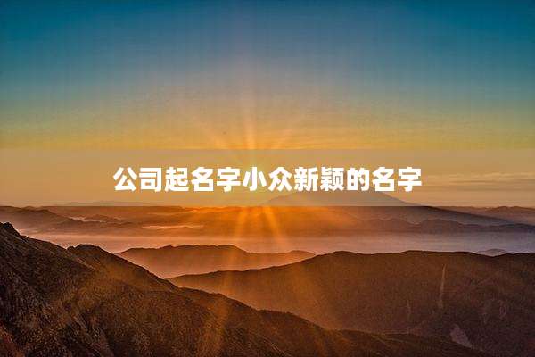 公司起名字小众新颖的名字