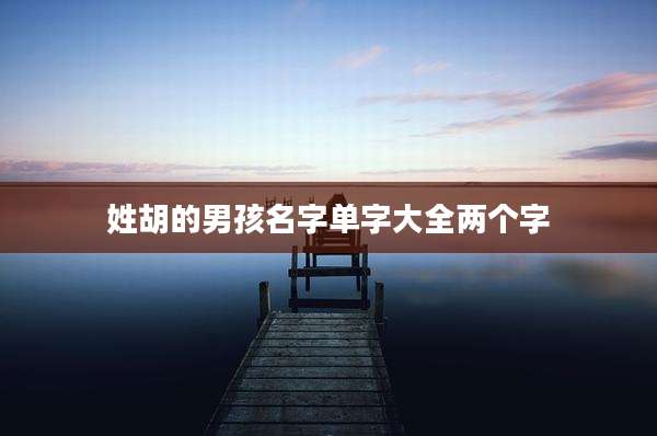 姓胡的男孩名字单字大全两个字