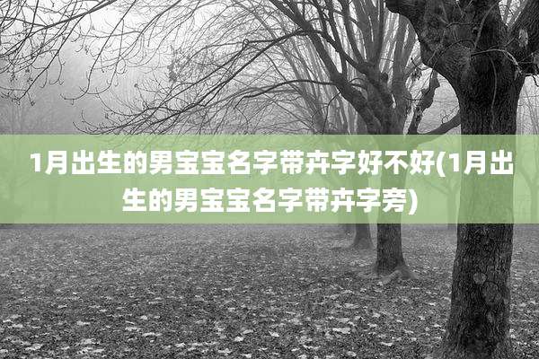 1月出生的男宝宝名字带卉字好不好(1月出生的男宝宝名字带卉字旁)