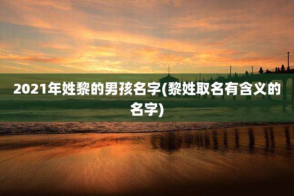 2021年姓黎的男孩名字(黎姓取名有含义的名字)