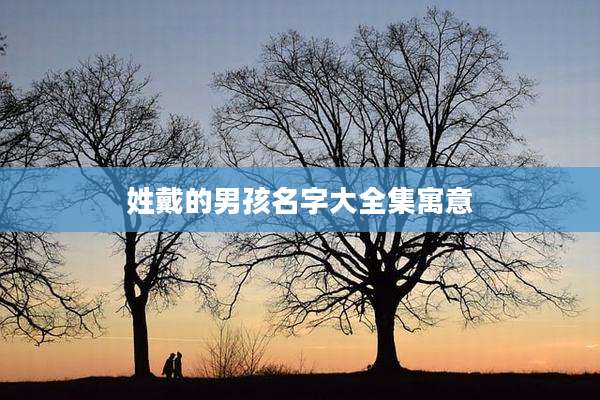 姓戴的男孩名字大全集寓意