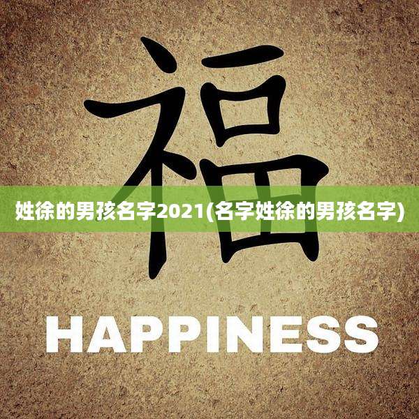姓徐的男孩名字2021(名字姓徐的男孩名字)