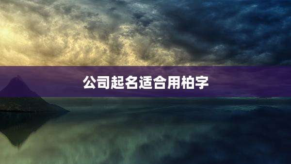 公司起名适合用柏字