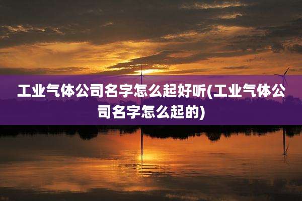 工业气体公司名字怎么起好听(工业气体公司名字怎么起的)