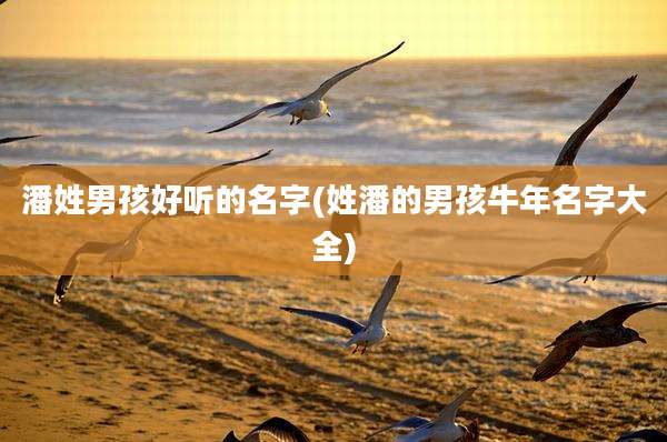 潘姓男孩好听的名字(姓潘的男孩牛年名字大全)