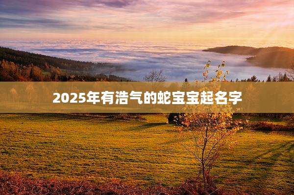 2025年有浩气的蛇宝宝起名字