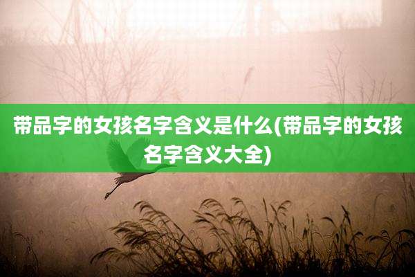 带品字的女孩名字含义是什么(带品字的女孩名字含义大全)